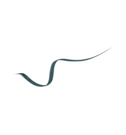 Lash Idôle - Hochpräziser, wasserfester Eyeliner
